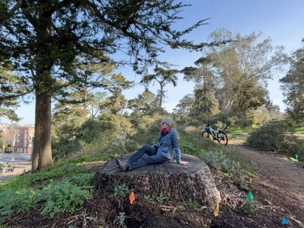 A stump with a view of the Golden Gate Bridge