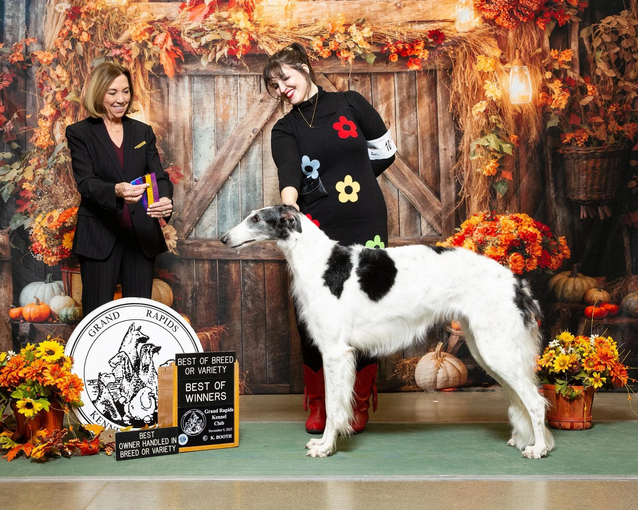 Borzoi standing during an indoor dog show awards presentation with autumn-themed decorations at the Grand Rapids Kennel Club, with handler and judge present and Best of Breed or Variety signage visible.