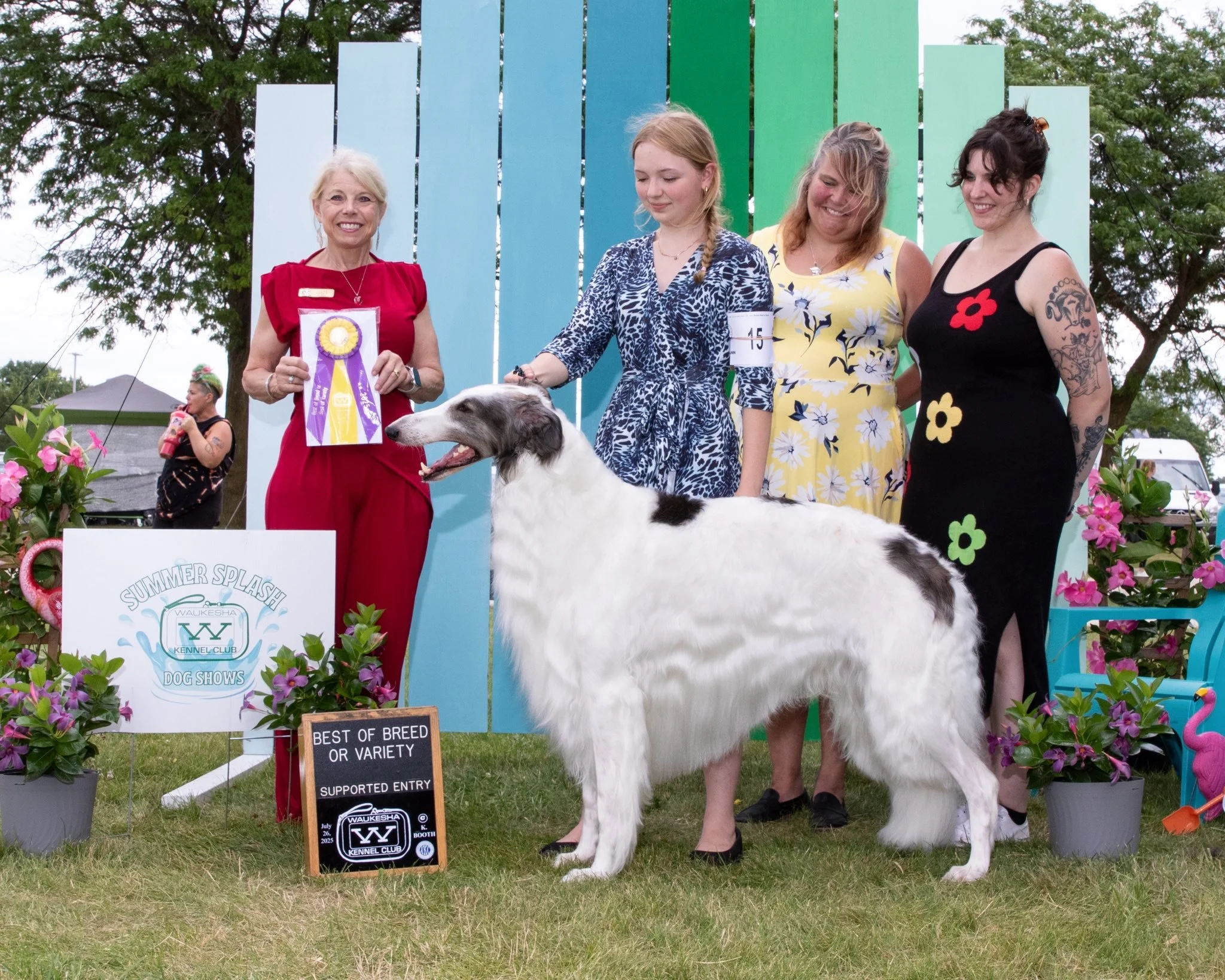 A group of four women standing behind a large white dog with black markings, at a dog show event, with one woman holding a purple ribbon and a rosette, and the dog being awarded best of breed or variety.