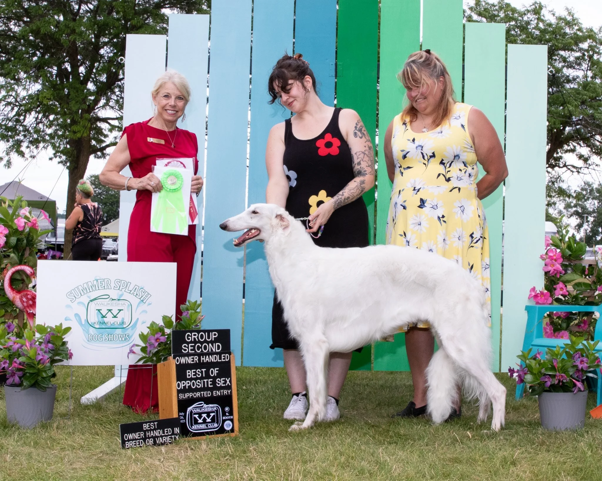 Dog show awards ceremony with three women and a white Borzoi, outdoors with colorful backdrop and flowers, sign indicating awards for second place, owner handled, best of opposite sex, and breed or variety.