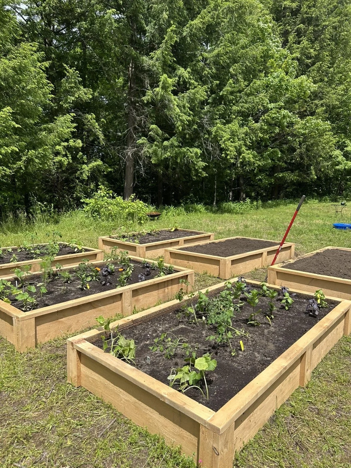 Custom Bed & Premium Soil-Compost Mix
