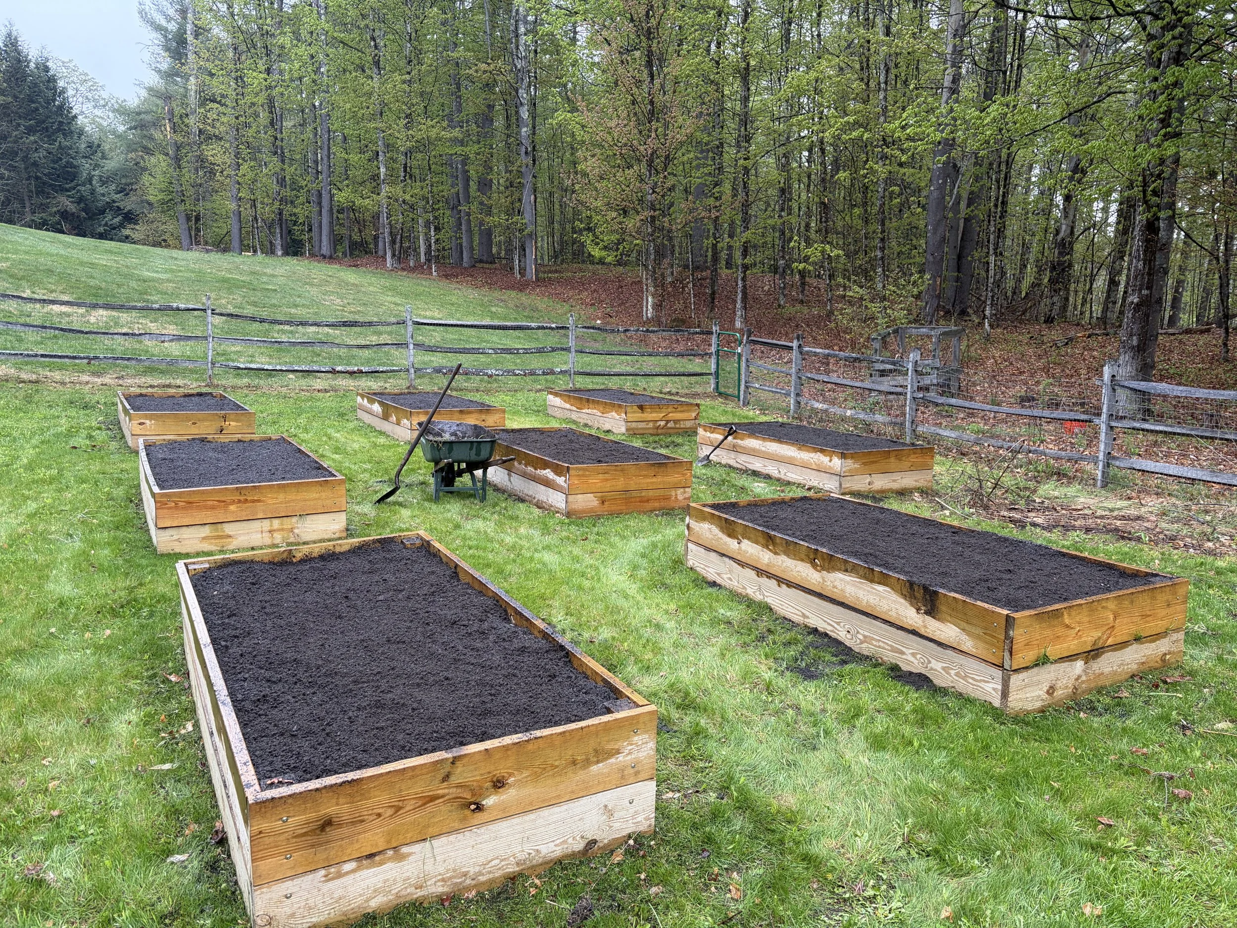 Garden Bed Clean-Up & Restoration