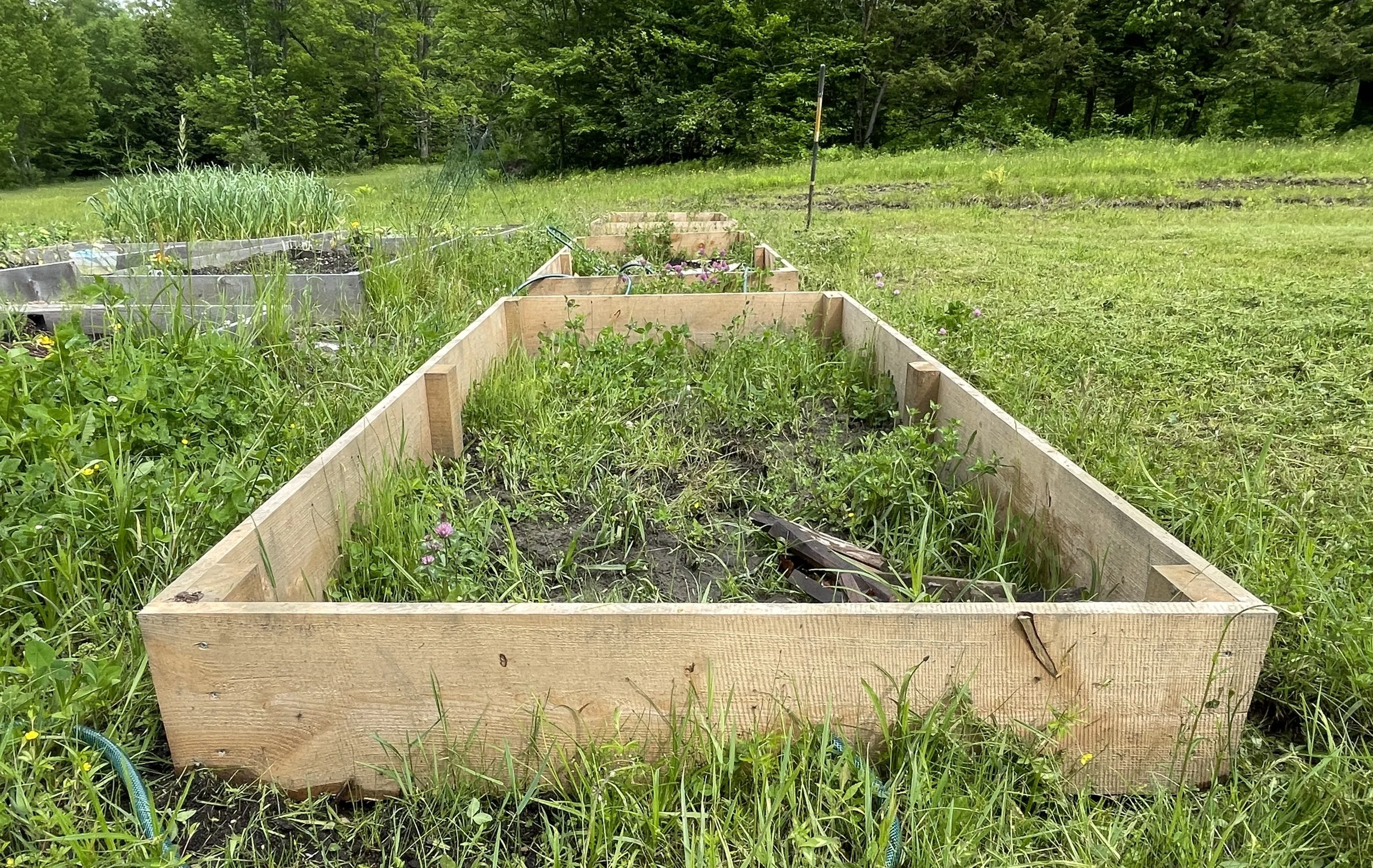 Basic Installation of Empty Garden Bed