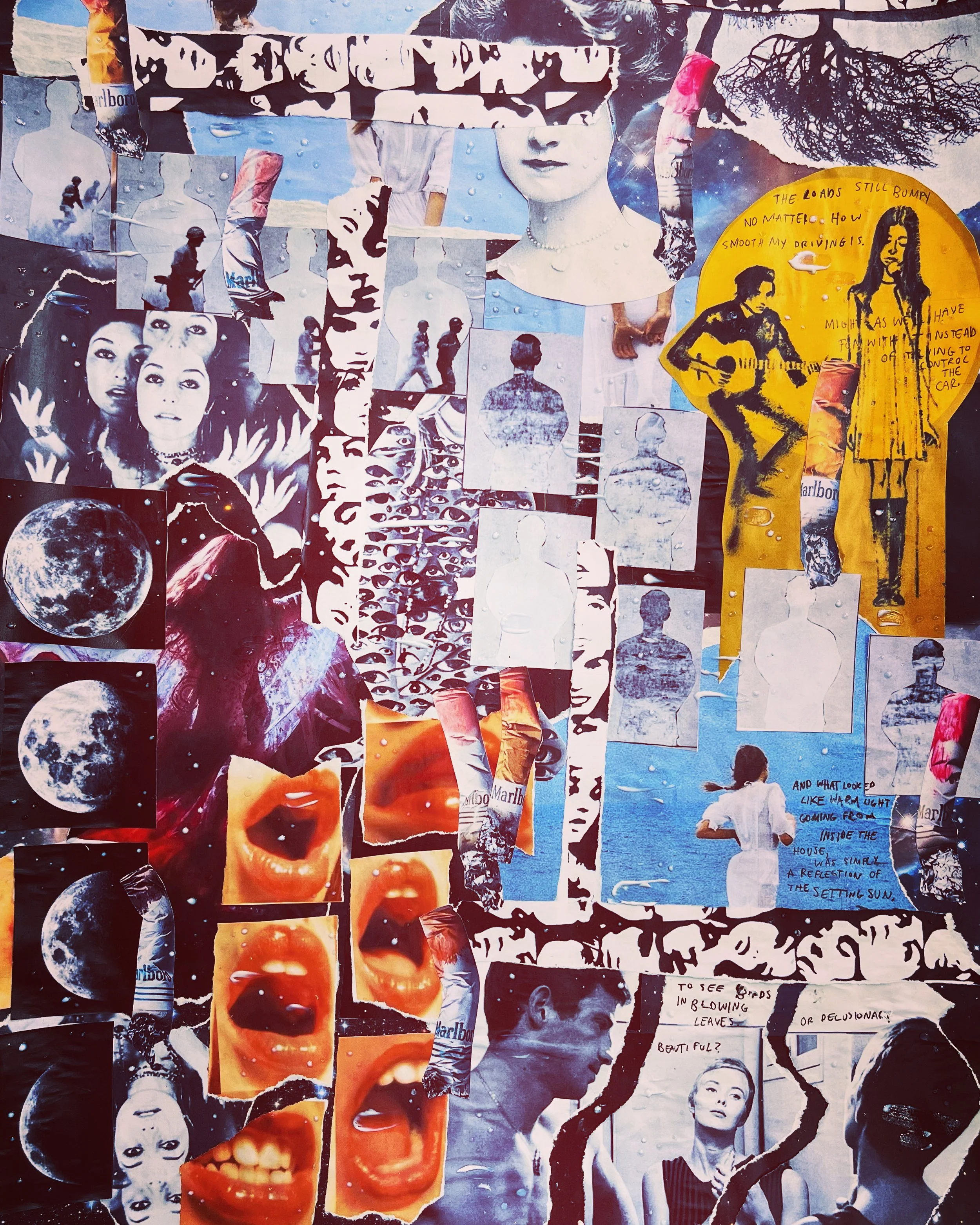 This 17x24 Collage was made using a series of printed images, based off the excerpts written within. (2022)