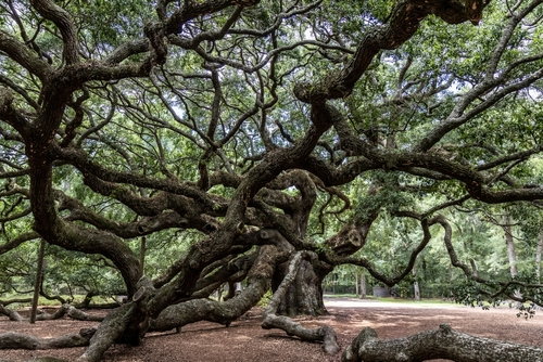 Twenty Years for Pioneer Wealth: A Conversation with Its Founder