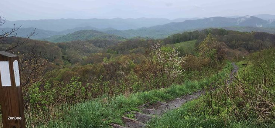 Lessons from the Trail: The Three P’s