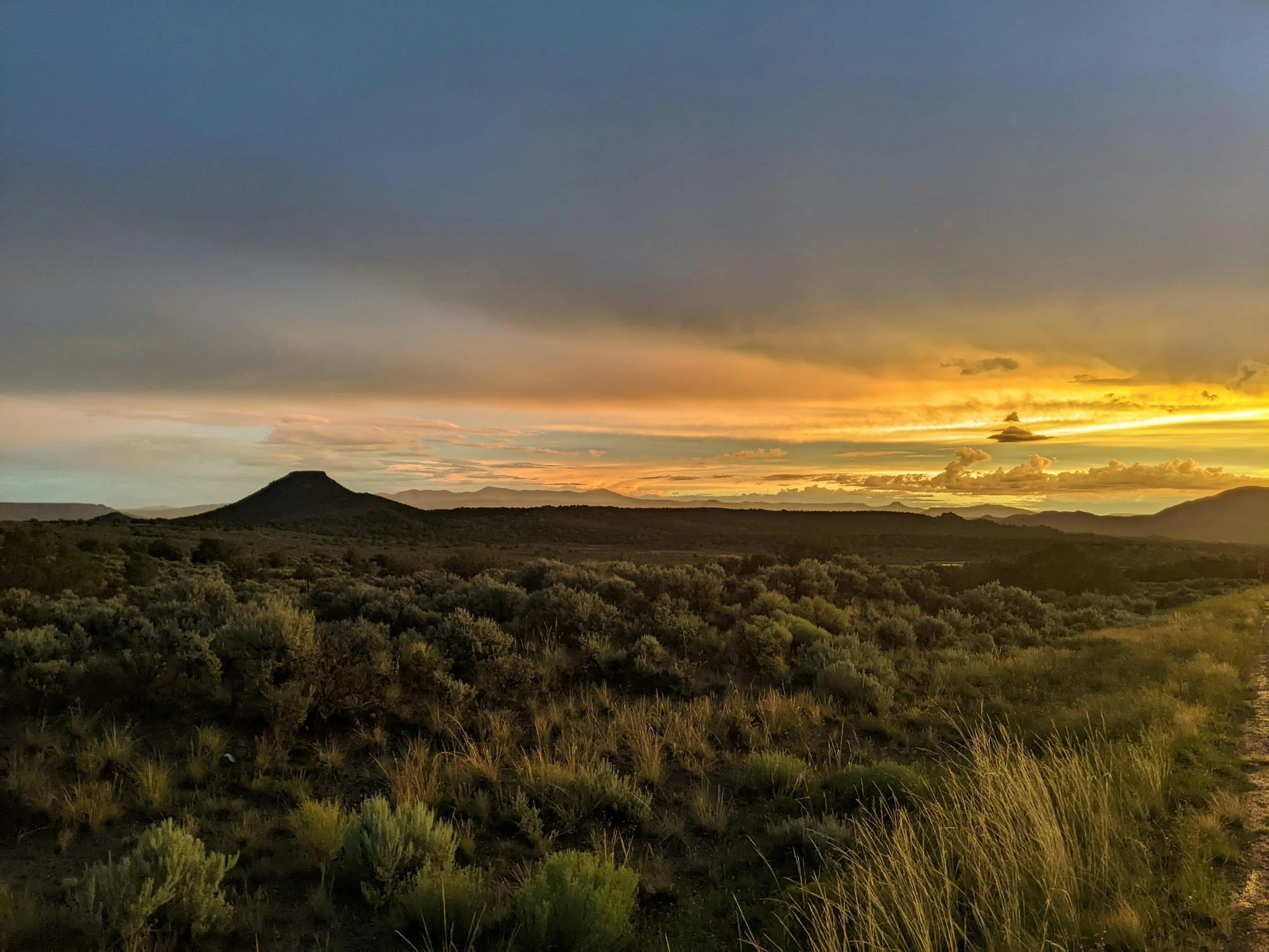 New Mexico Wildfire Insurance