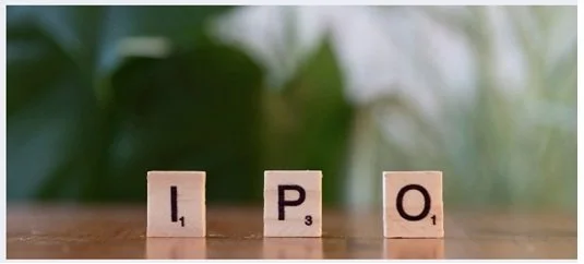 Why Today's Best Companies Stay Private Longer: What It Means for Investors