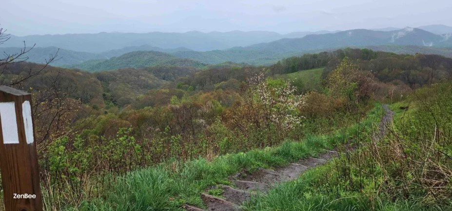 Lessons from the Trail: Preventing Financial Burnout