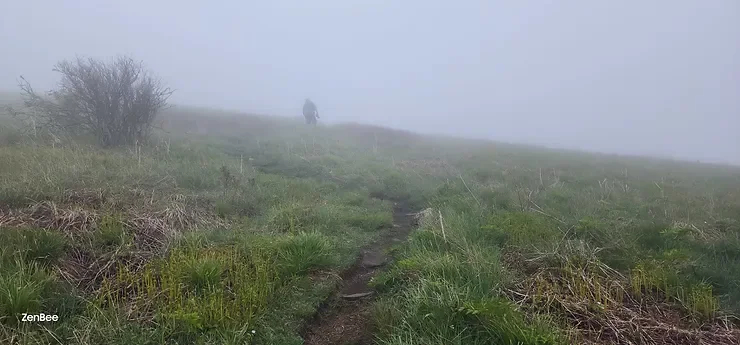 Lessons from the Trail: Financial Planning – Life’s Shakedown Hike