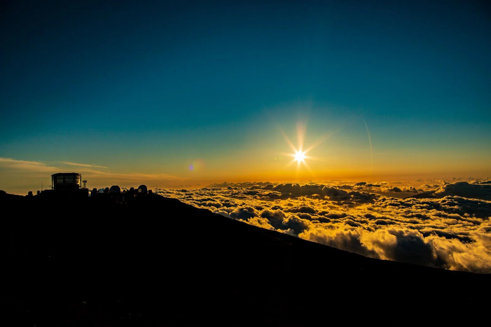 WhatsApp Image 2025-06-10 at 14.59.54.jpg