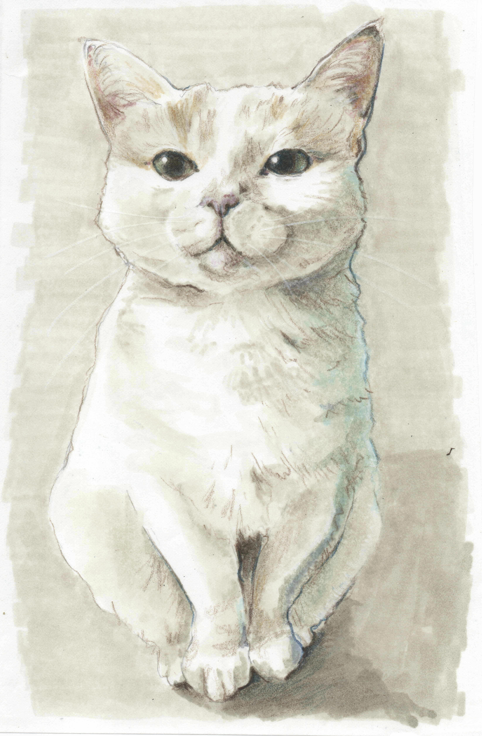 Boo cat mixed media copy.png