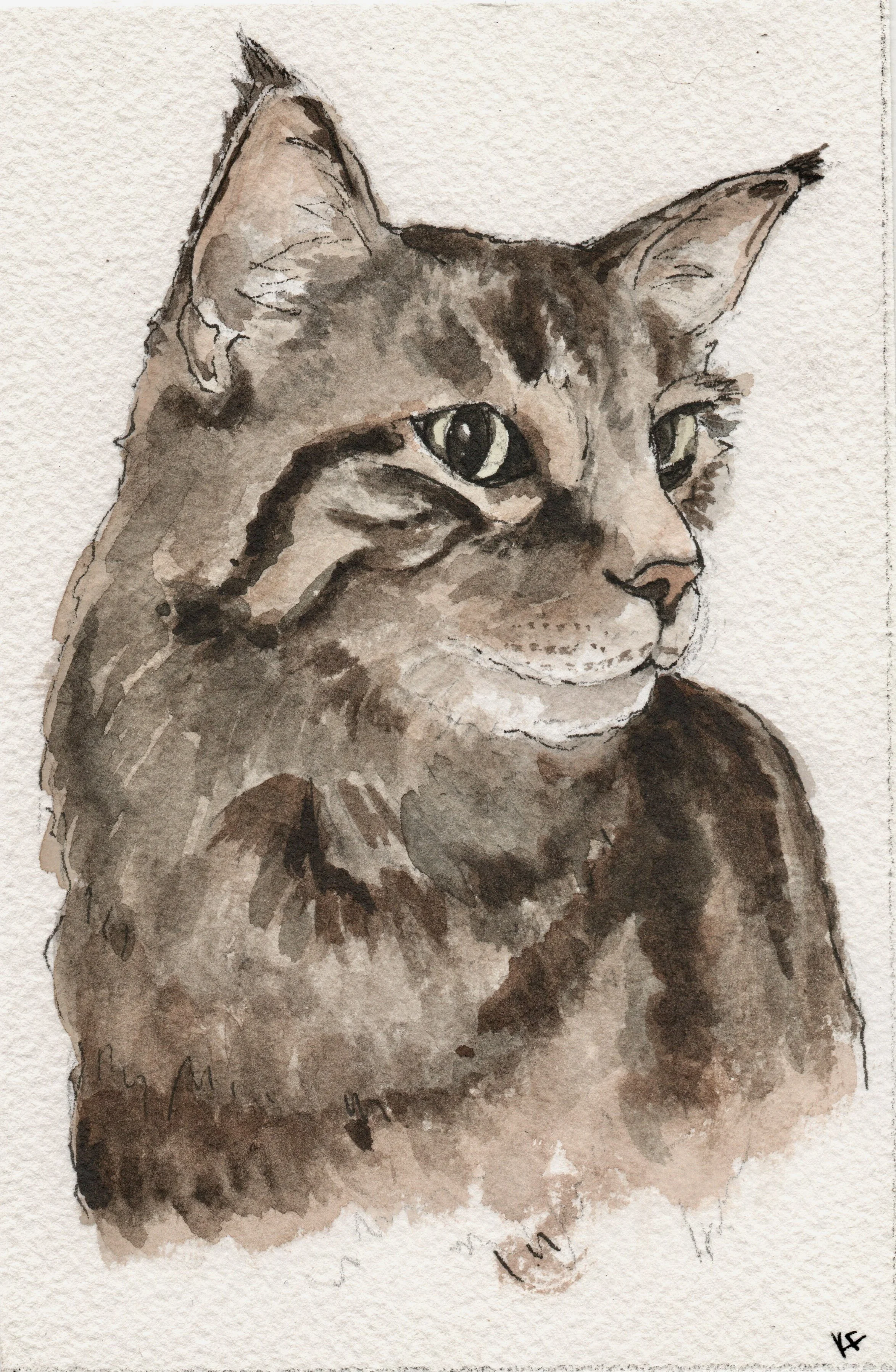 James for Brittany Xmas 22_001.jpg