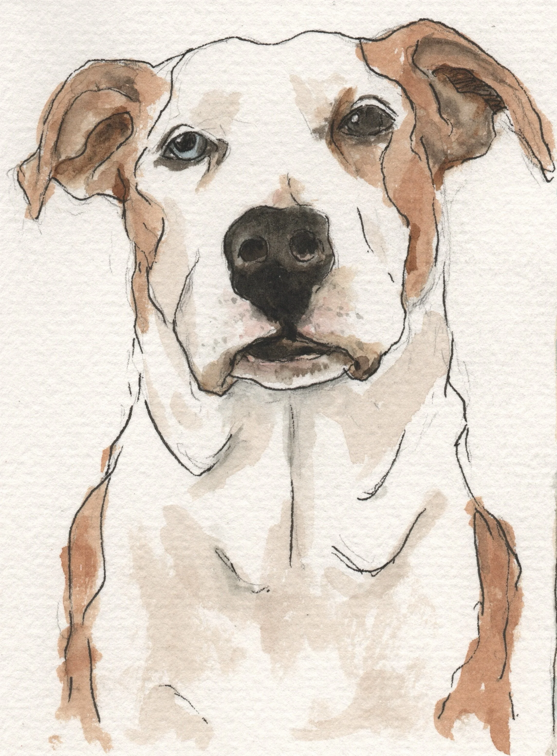 Lindsey Wang old girl Xmas 22_001.jpeg