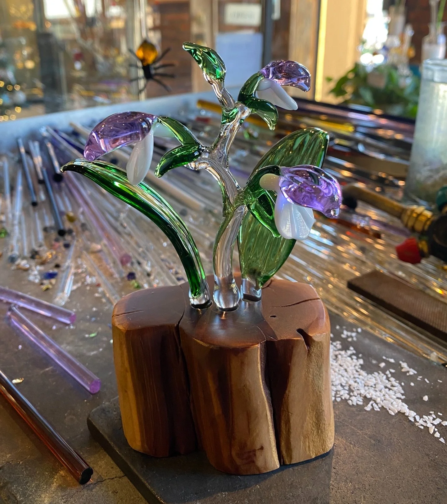 These showy orchids are making a scene at the shops! What&rsquo;s your favorite spring wildflower? 🌼

#showyorchis #showyorchid #ilovebrowncounty #nashvilleindianashops