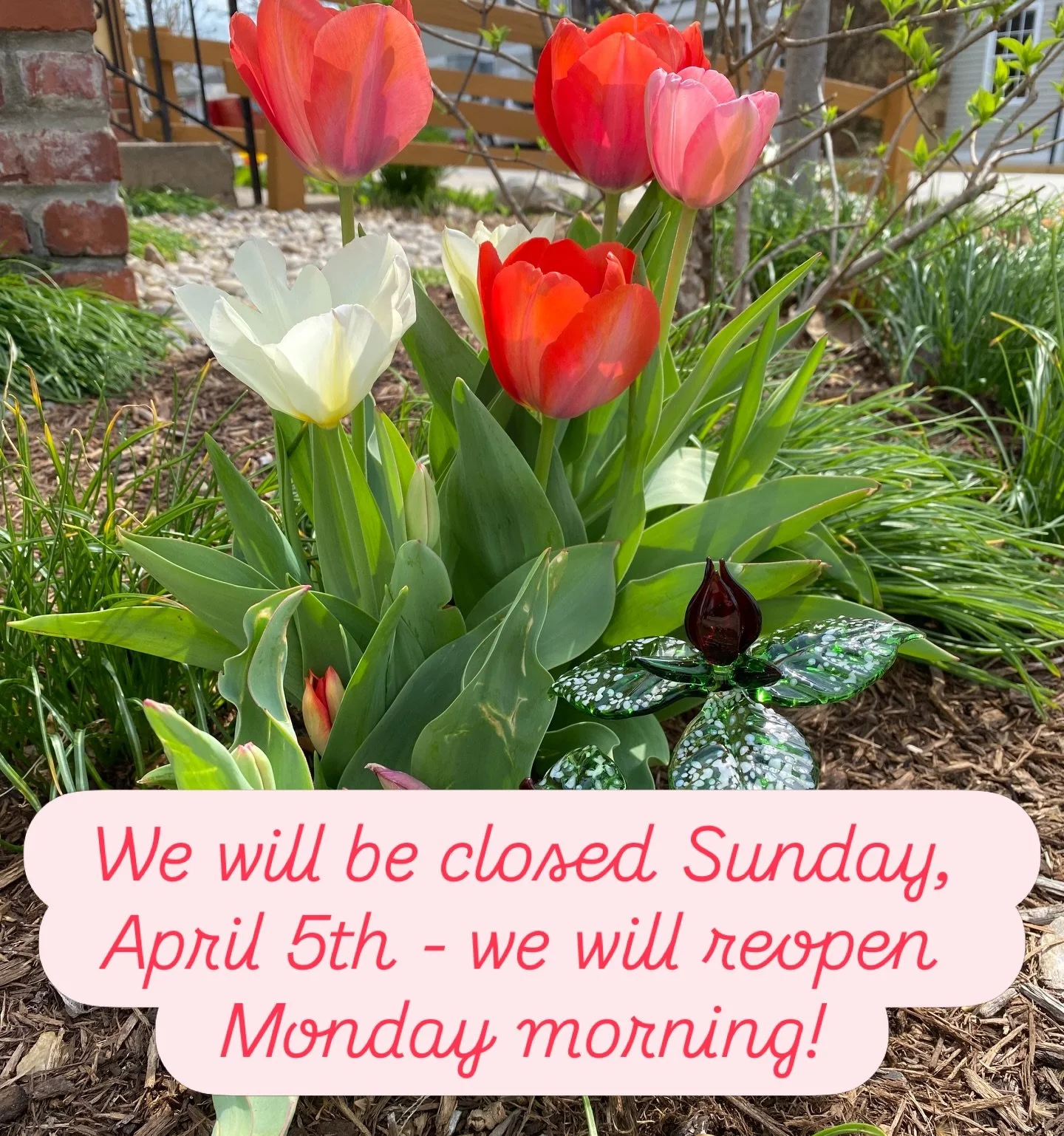 Lawrence Family Glass Blowers will be closed this Sunday, April 5th for Easter. We will reopen Monday morning, April 6th! 🐣🌷