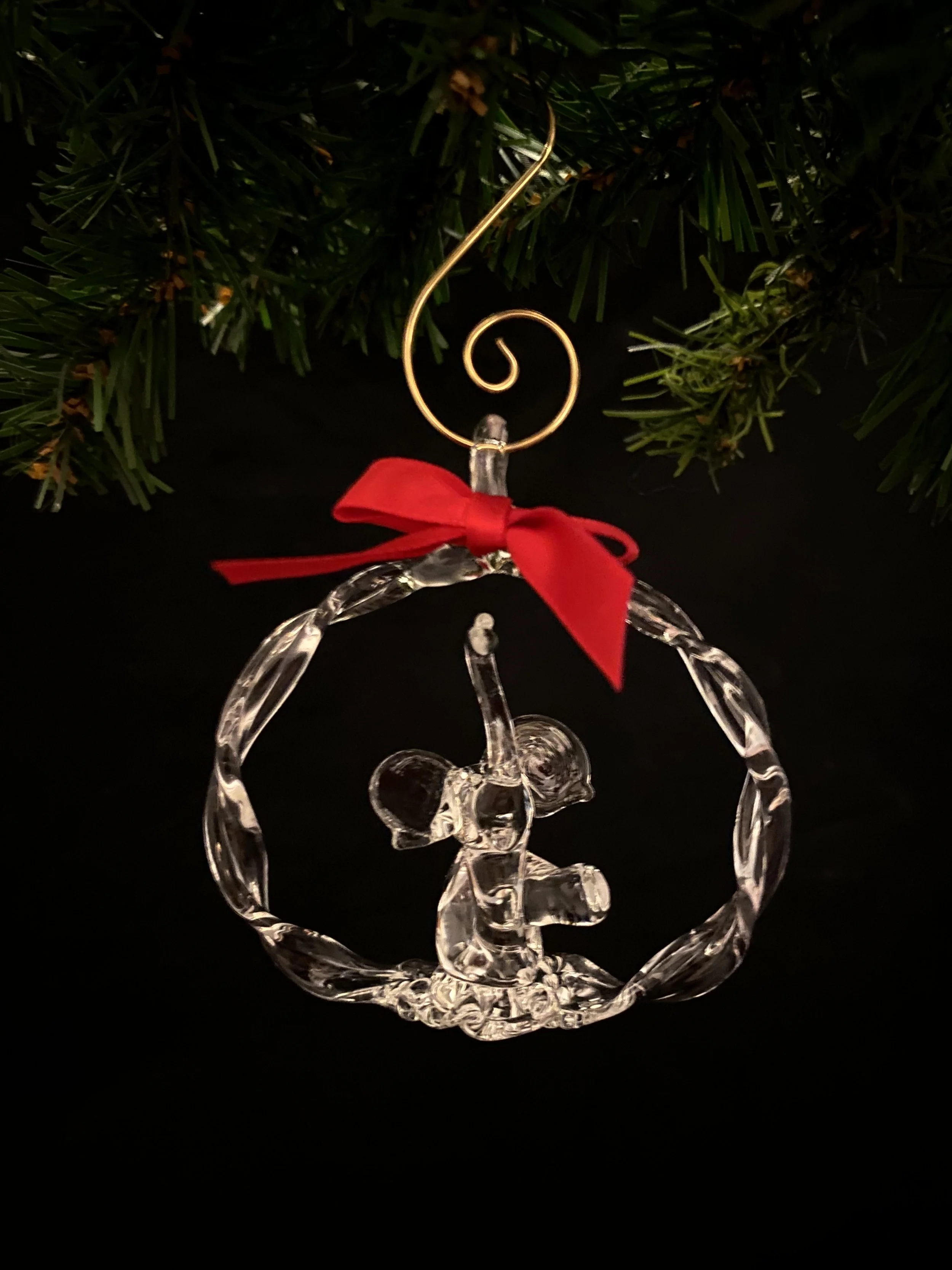 Elephant in a Circle