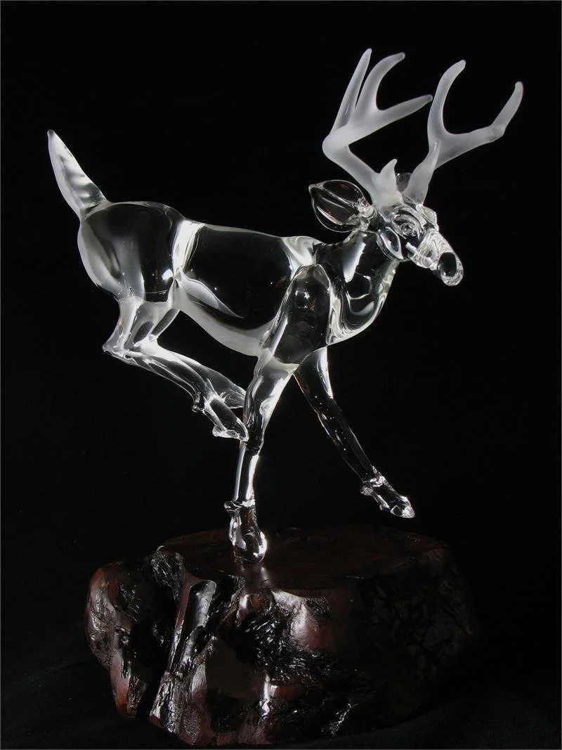 Single Whitetail Deer