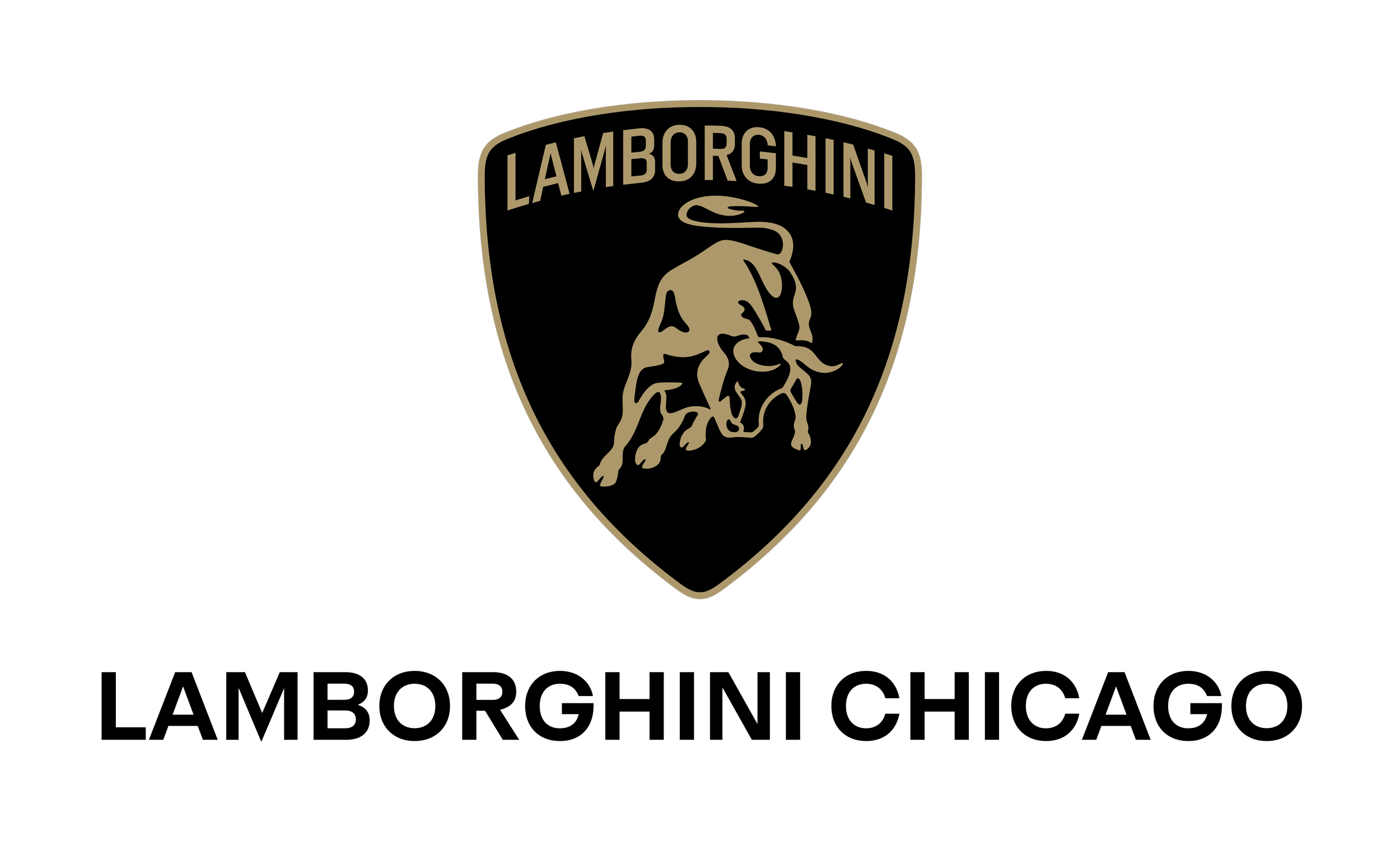 Lamborghini_Chicago_Black@8x.png