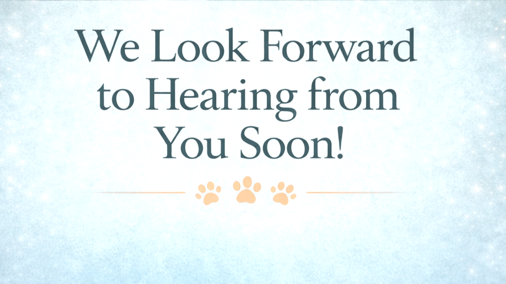 A message on a light blue background with snowfall effects says, "We Look Forward to Hearing from You Soon!" with three paw print icons below the text.