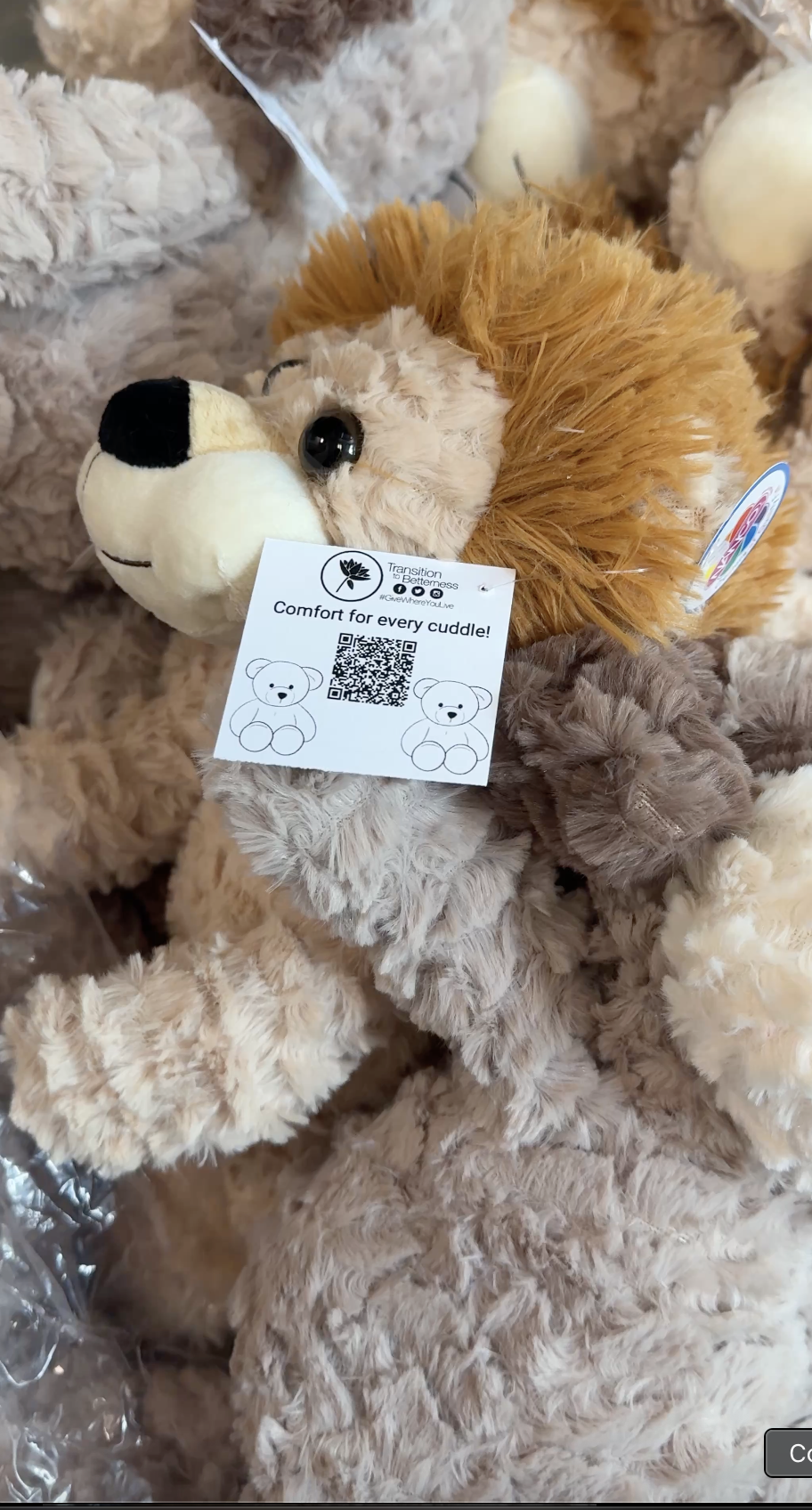 A close-up of a plush lion toy with a tag that reads 'Comfort for every cuddle!' surrounded by other plush toys in neutral colors.