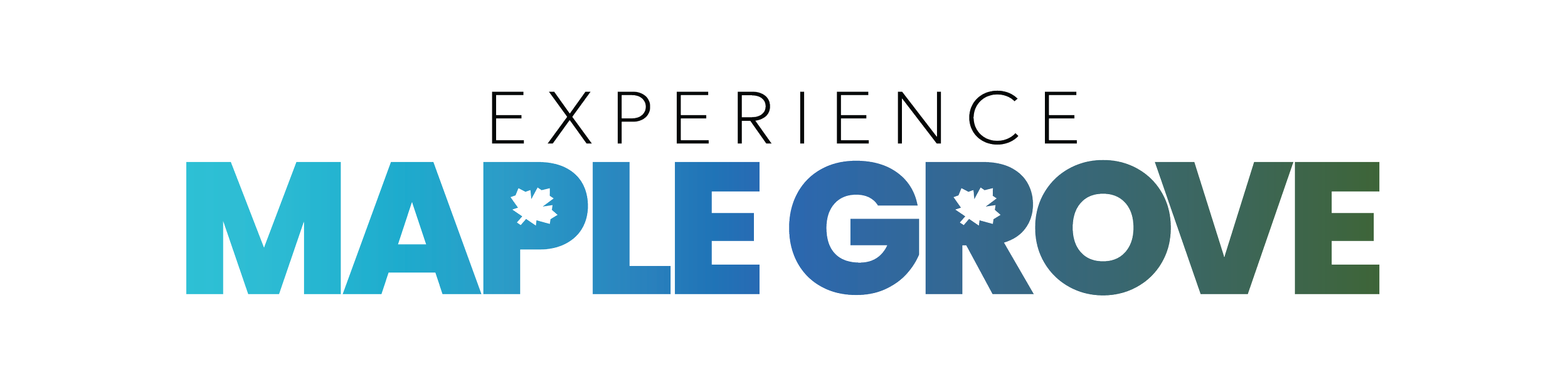 Experience MG -Transparent.png