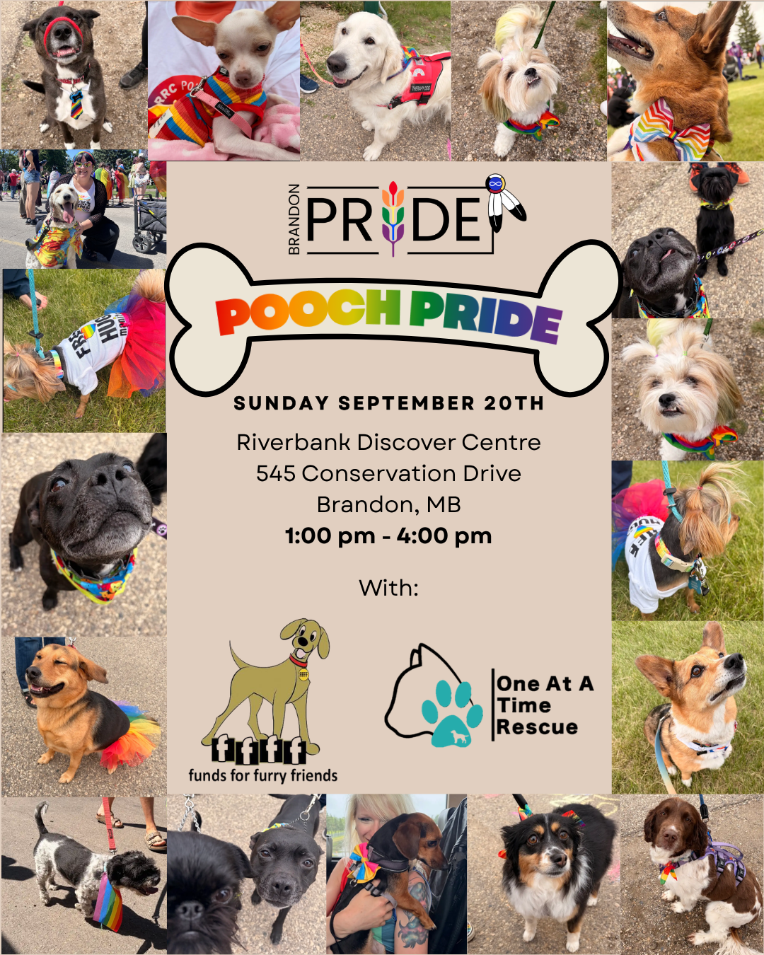 Pooch Pride