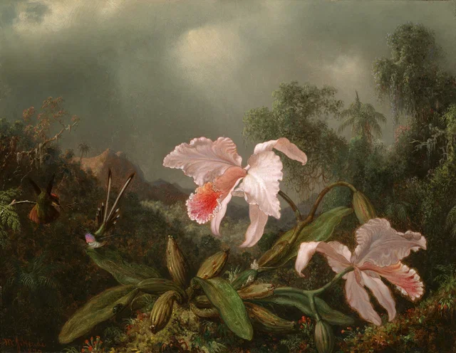 Jungle Orchids and Hummingbirds  Martin Johnson Heade, 1872.webp