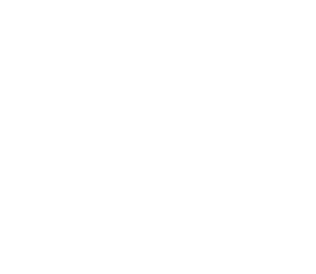 Wayfinder Institute