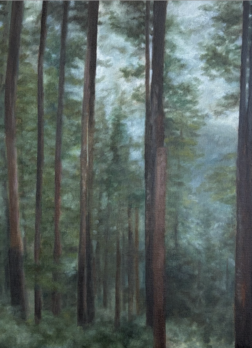 Forest in Vancouver