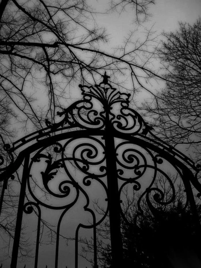 Silhouette of an ornate wrought iron gate with leafless tree branches in the cloudy sky background.