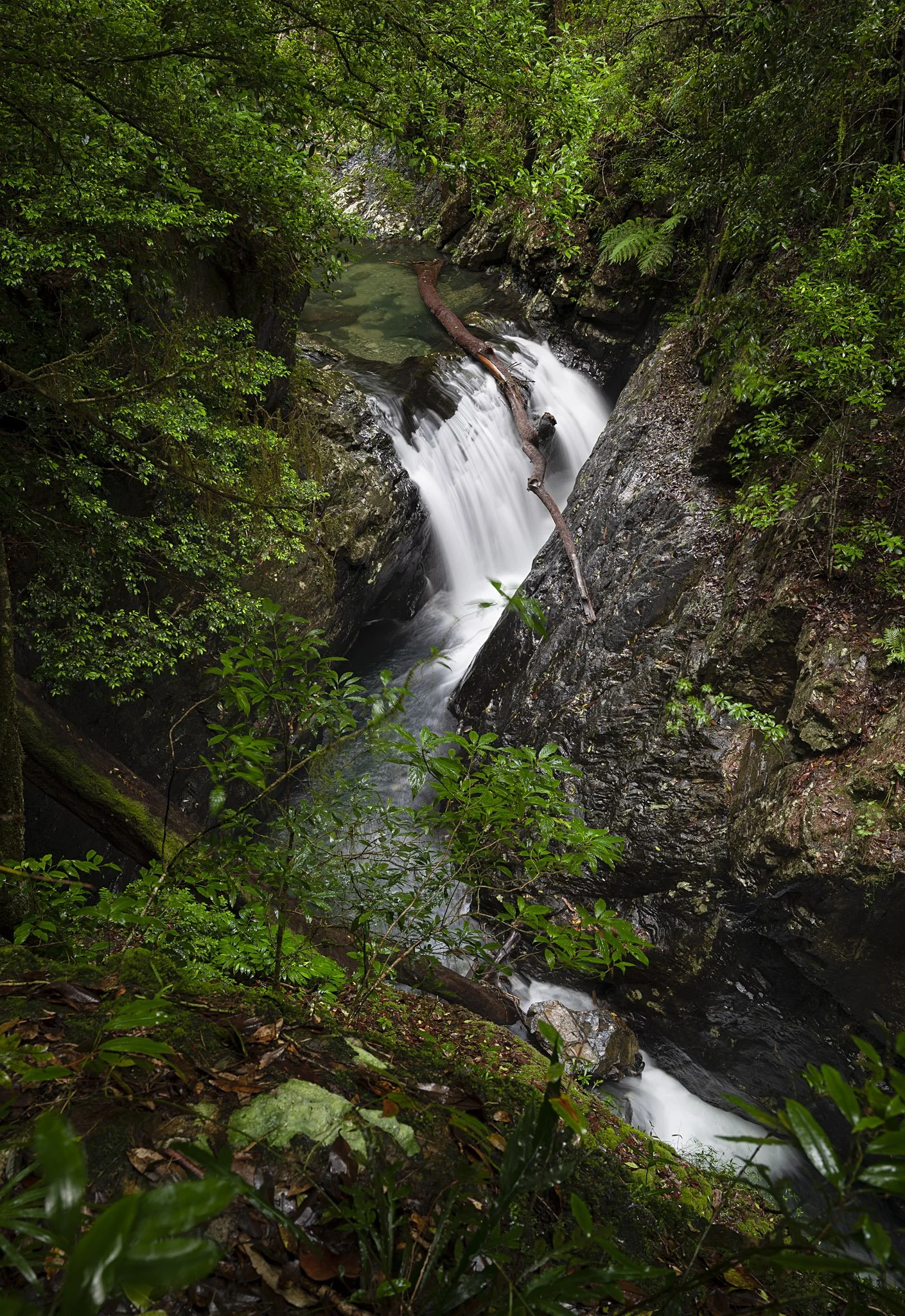 Rosewood River 290422.02.JPG