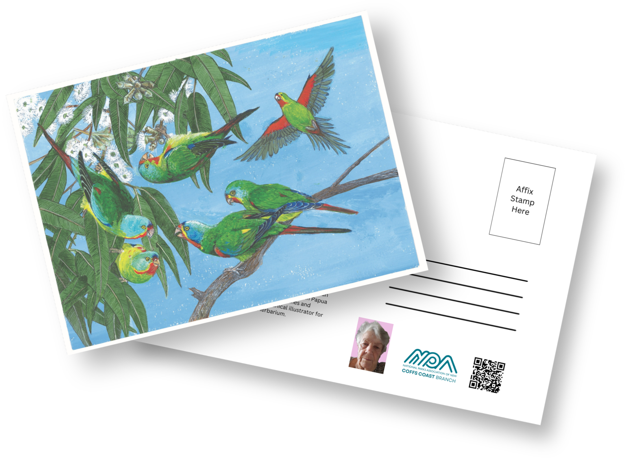 Colorful illustration of seven parrots perched on a tree branch and flying among green leaves and white flowering branches against a blue sky background.