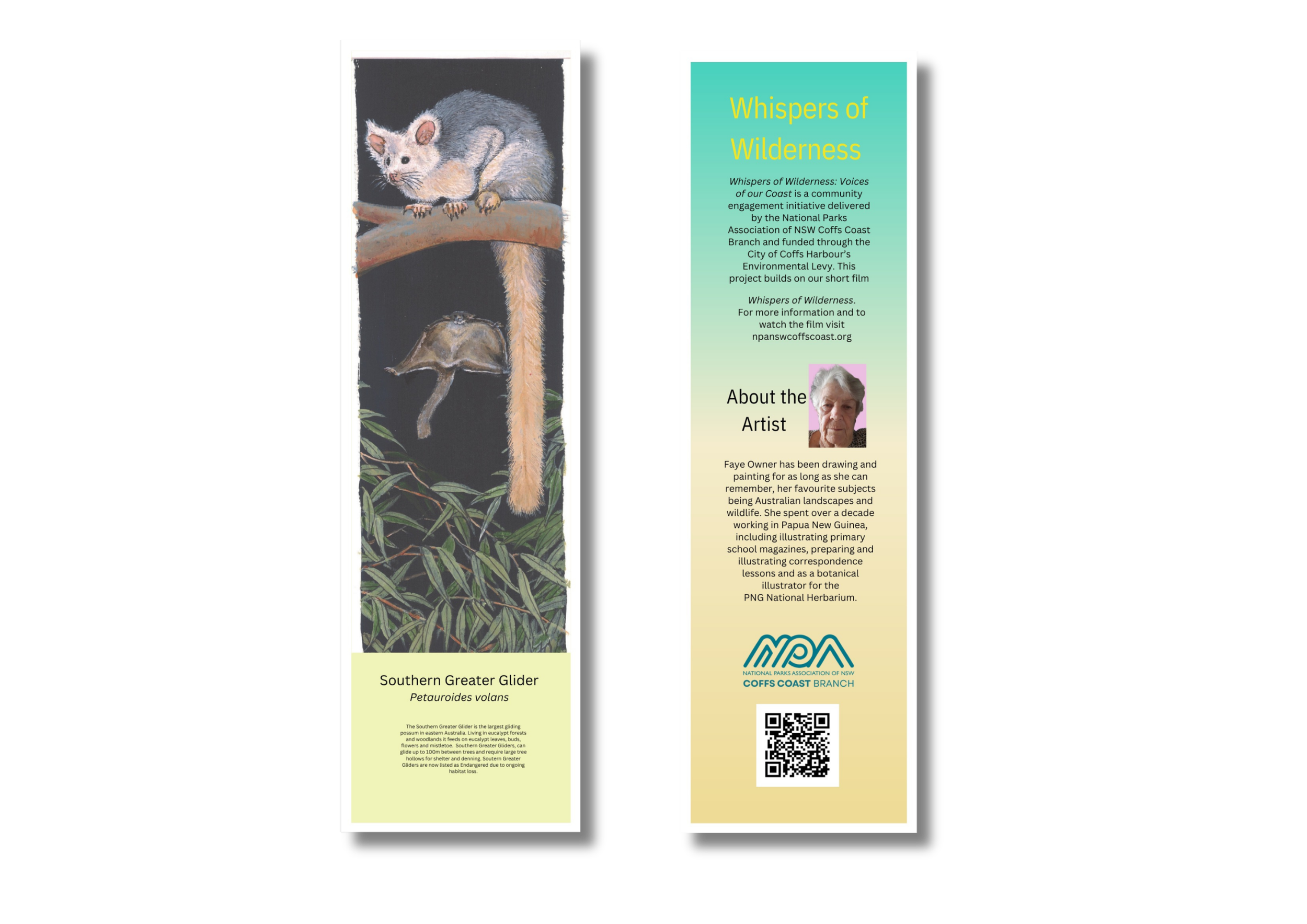 Information panel about the Southern Greater Glider, a native Australian animal, featuring an illustration of the glider on a tree branch and a description of its habitat, along with details about the artist and the project 'Whispers of Wilderness' p