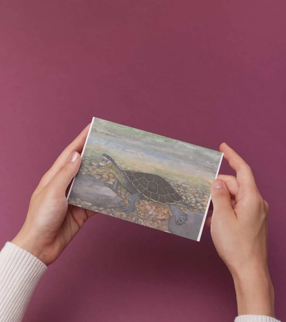 Person holding a photo of a turtle near water and rocks against a pink background.