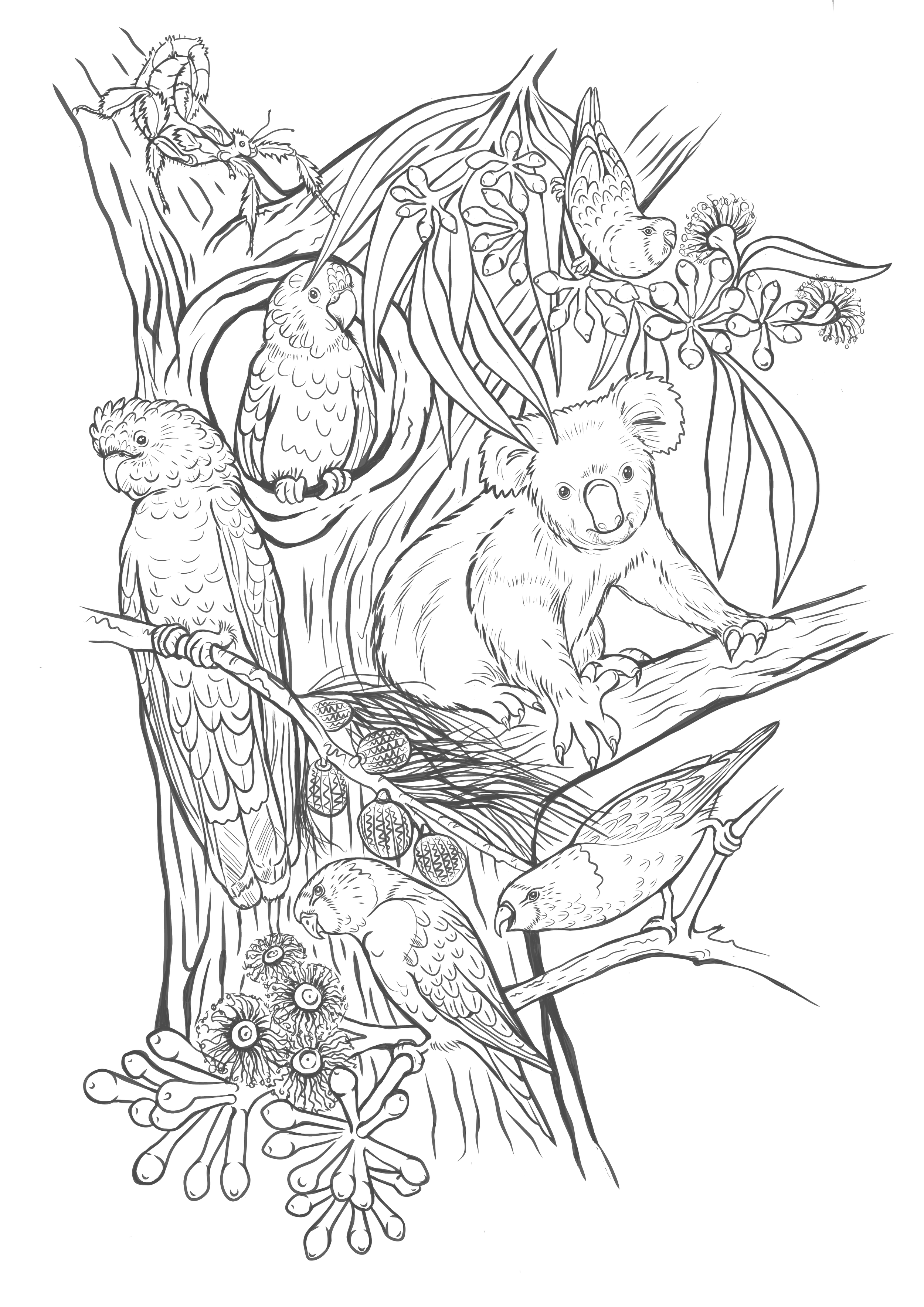 Line art illustration of a jungle scene with various animals including koalas, parrots, a butterfly, and a fish, surrounded by plants and flowers.