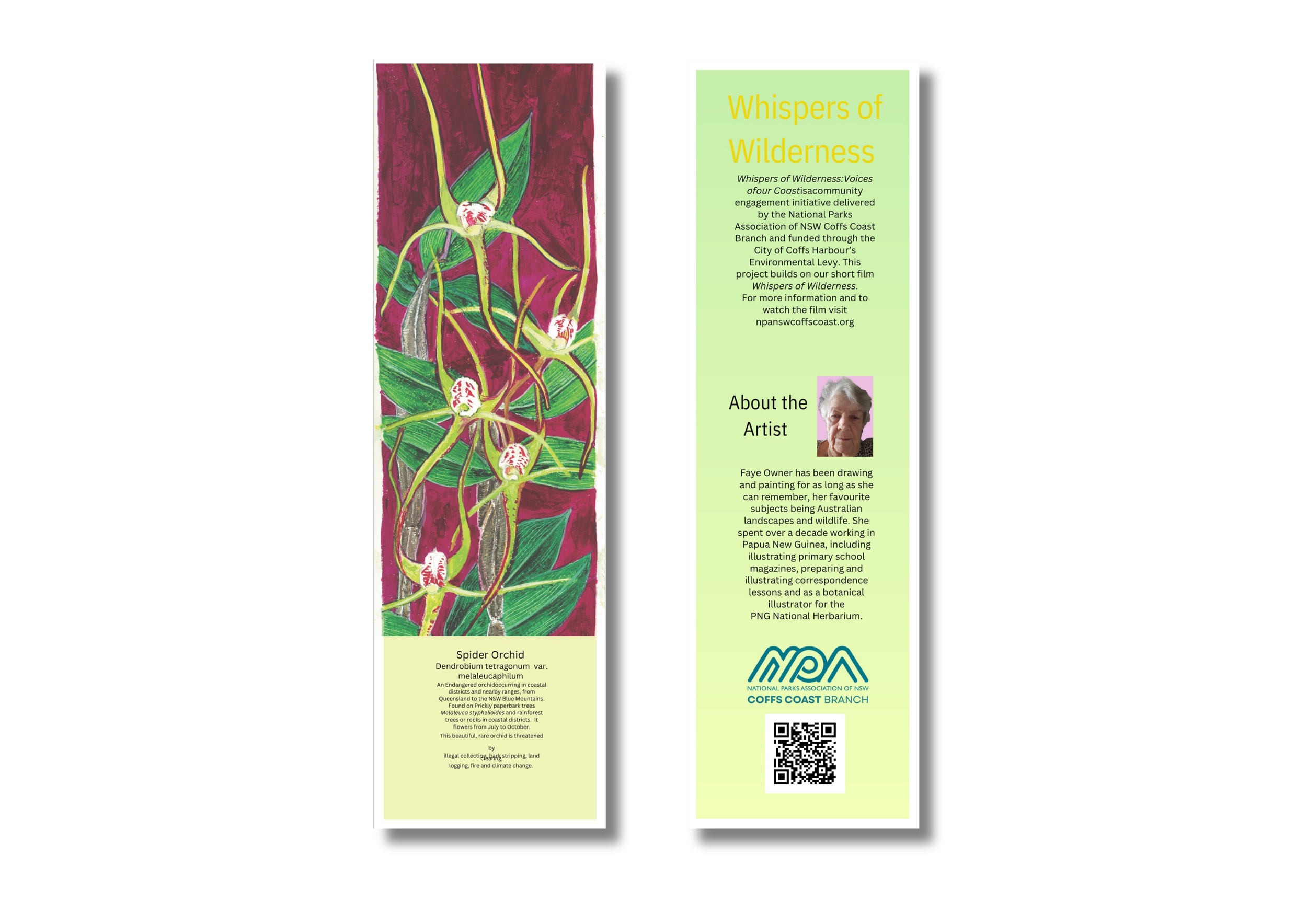 A side-by-side of a botanical illustration of a spider orchid on the left and a green informational flyer about wilderness and the artist on the right.