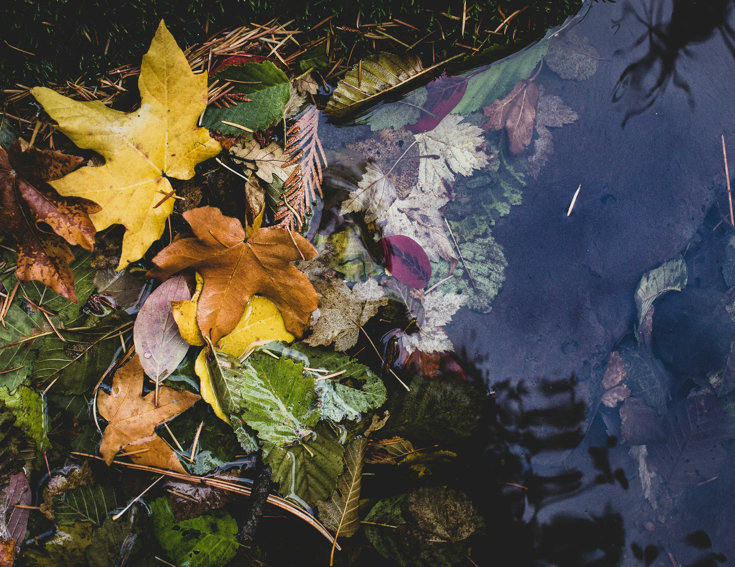 10 ways to practice ACT 