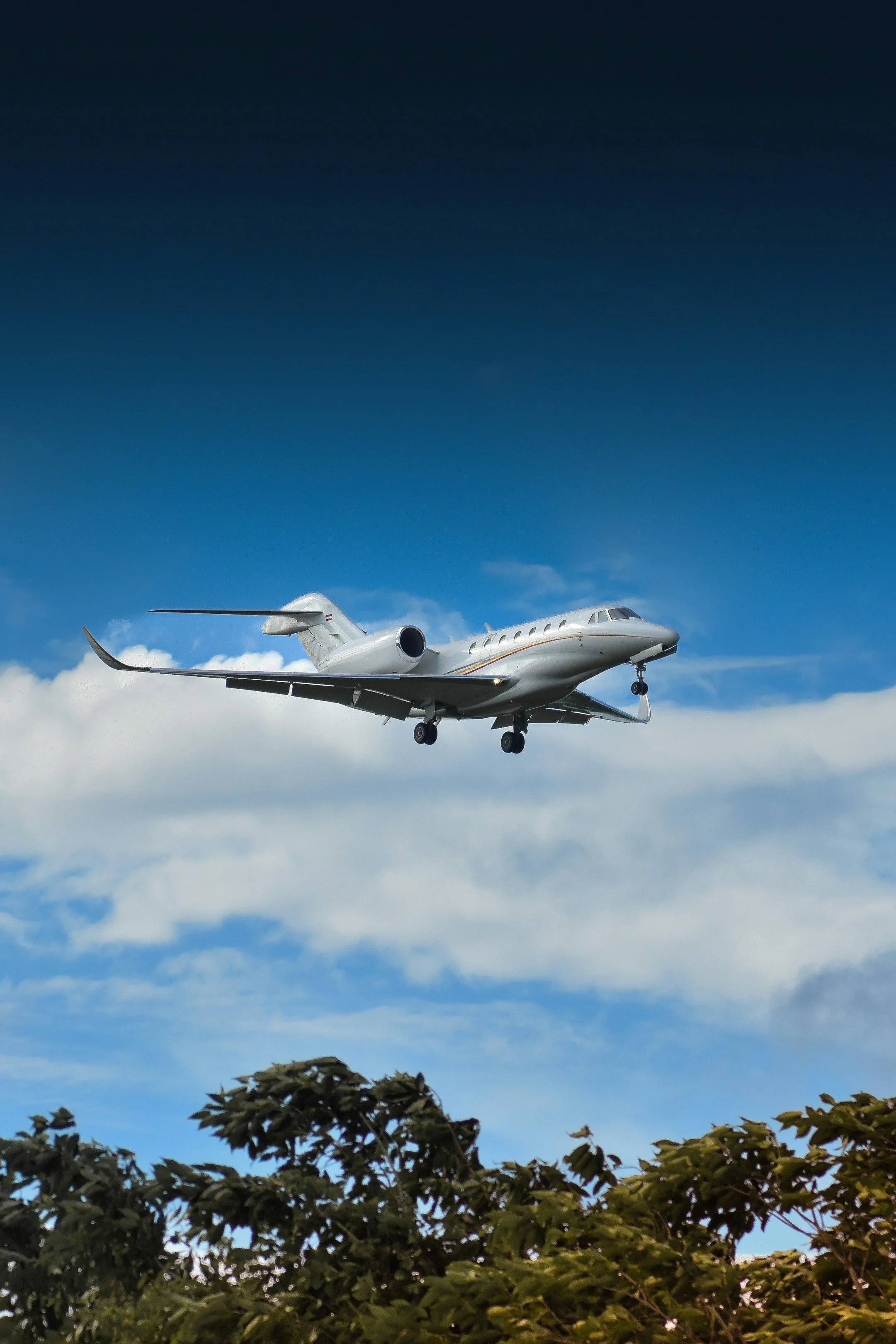 A private jet flying in the sky above a tree line with clouds in the background.