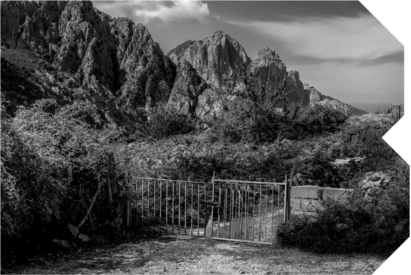 A black and white photo of a mountain landscape with a metal gate in the foreground and rugged mountains with trees and bushes in the background.