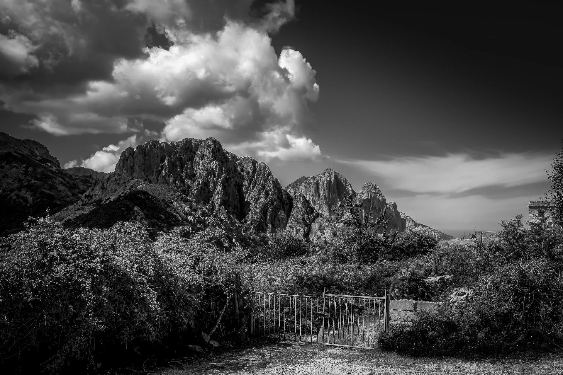 Black and white photo of rugged mountains with dramatic clouds above. In the foreground, a metal gate blocks a dirt path, surrounded by dense bushes and trees.