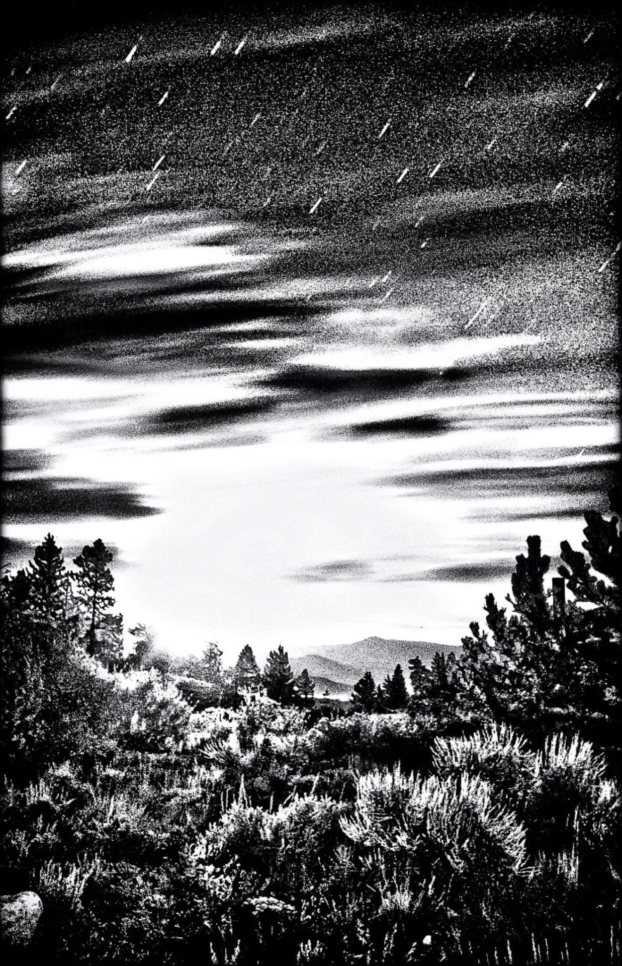 Black and white landscape of a forest with trees in the foreground, mountains in the background, and a night sky filled with star trails and clouds.