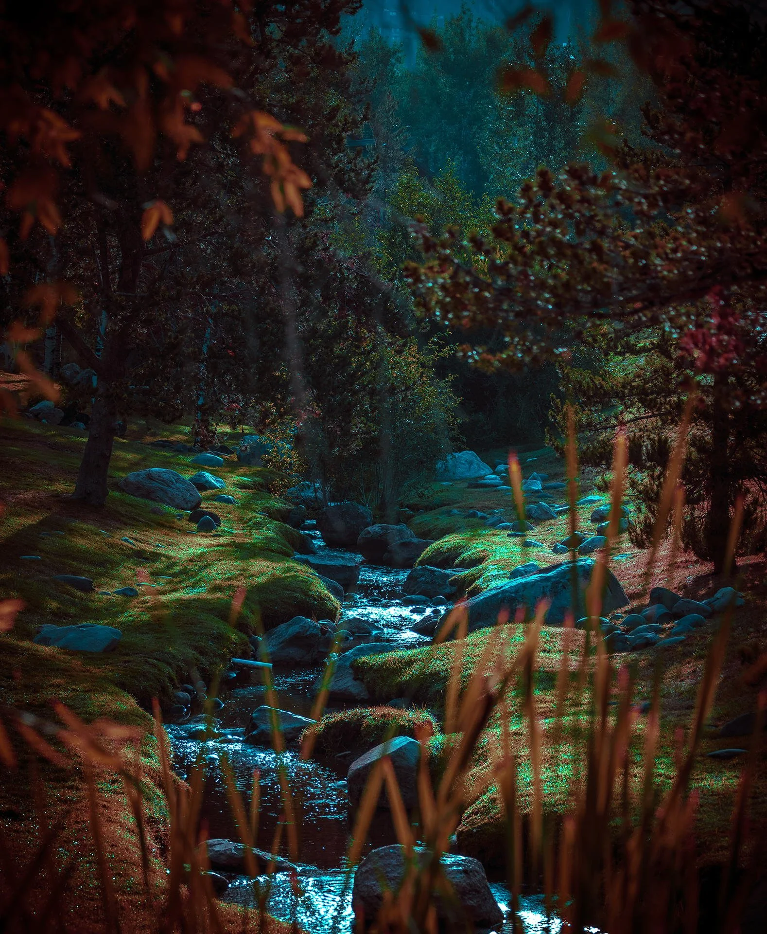 A peaceful forest scene with a small river flowing through moss-covered rocks, surrounded by trees and tall grass, with sunlight filtering through the leaves.