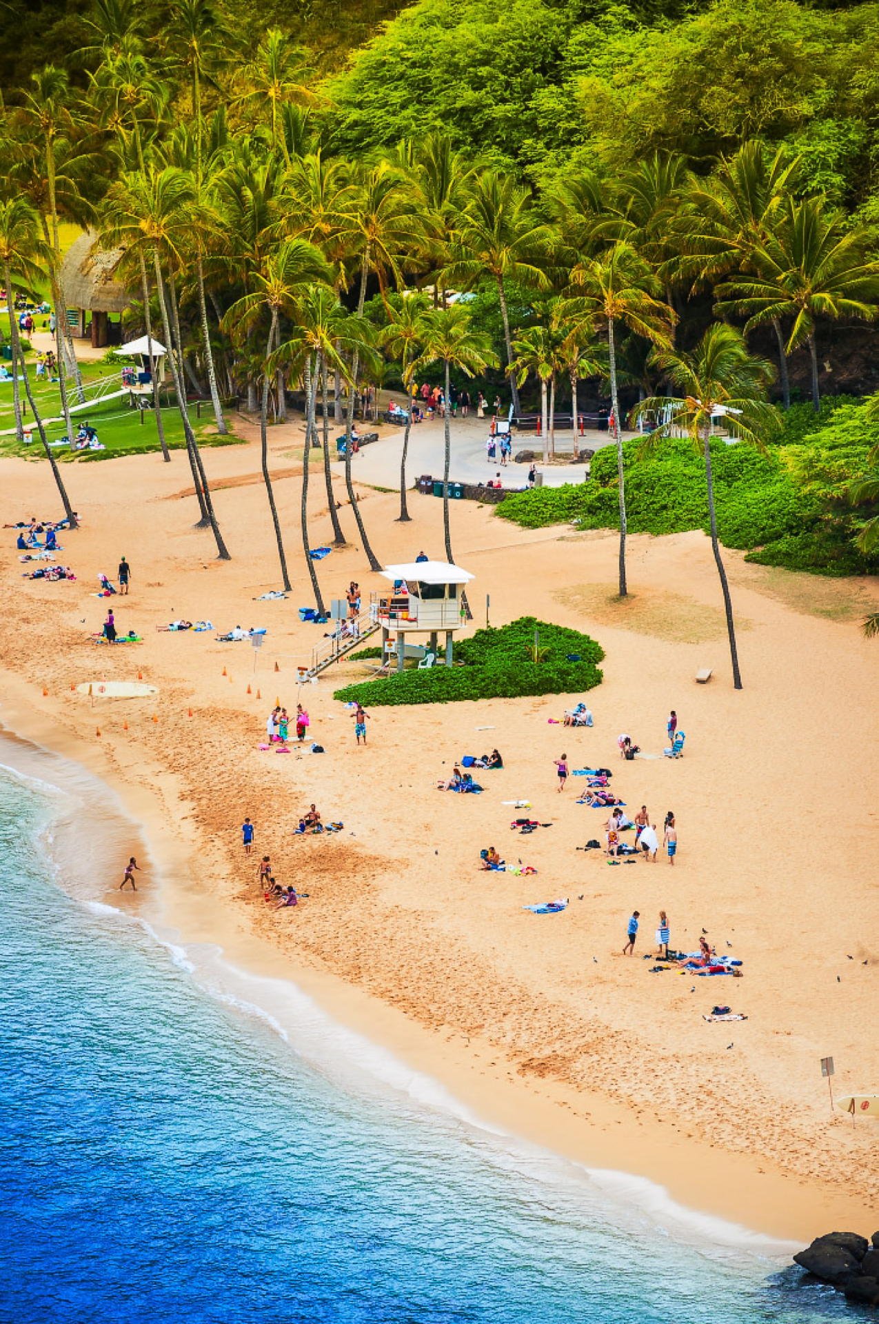 A beach with people sunbathing, walking, and playing near the shoreline. Tall palm trees and lush green foliage line the sandy beach, with a small lifeguard tower and a grassy area in the background.