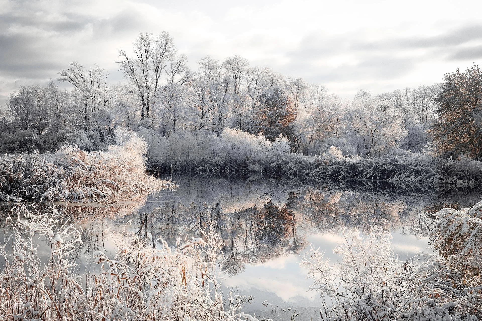 Frost-covered trees and bushes along a river in winter, with a cloudy sky reflecting in the water.