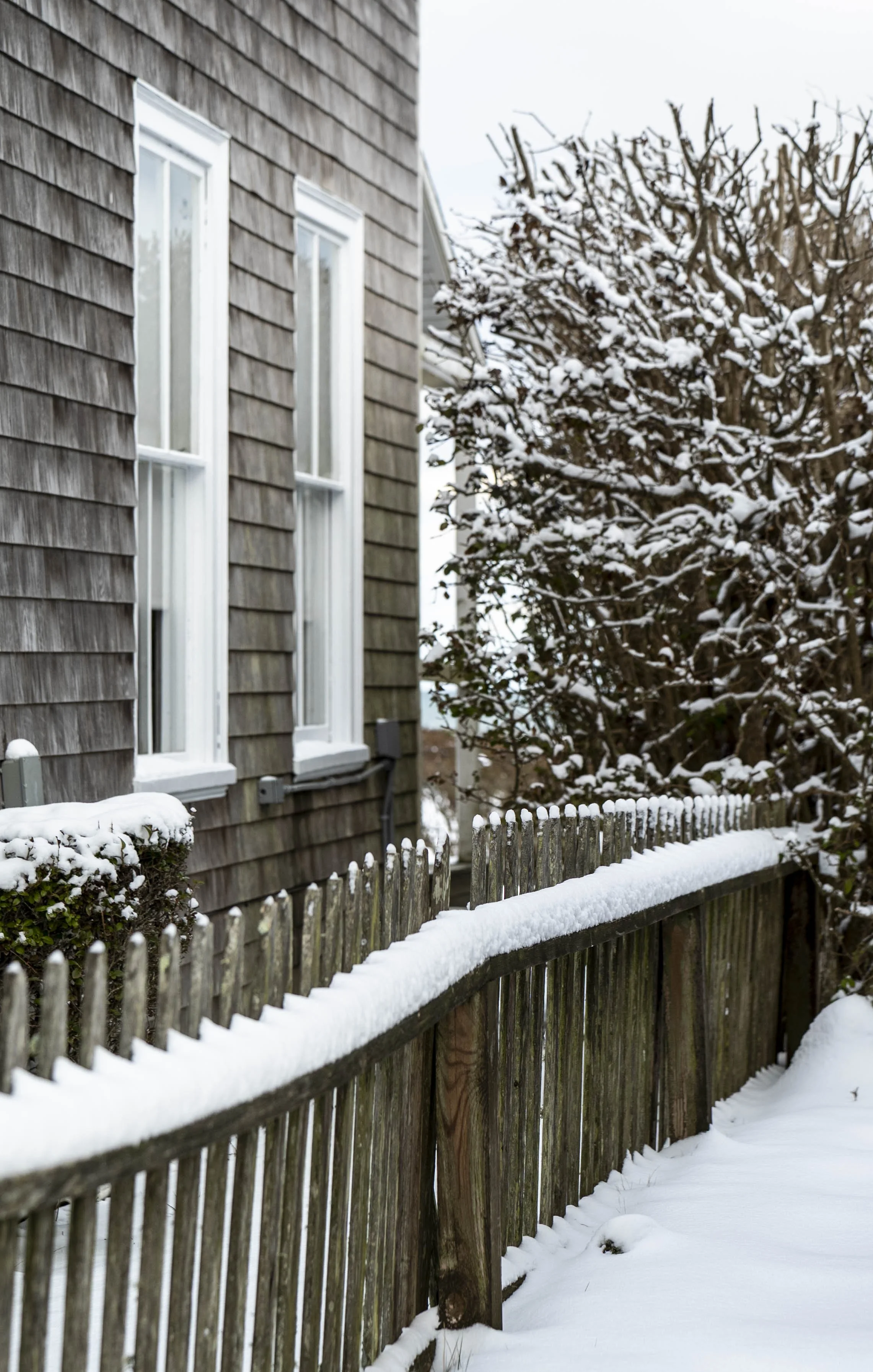 Snow-covered wooden fence beside a house with wood shingle siding and three tall windows, with snow on a nearby bush and ground.