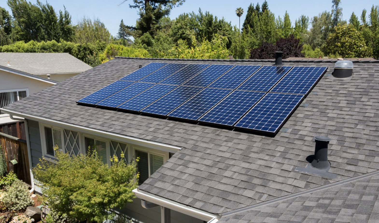 Solar Panel Cleaning