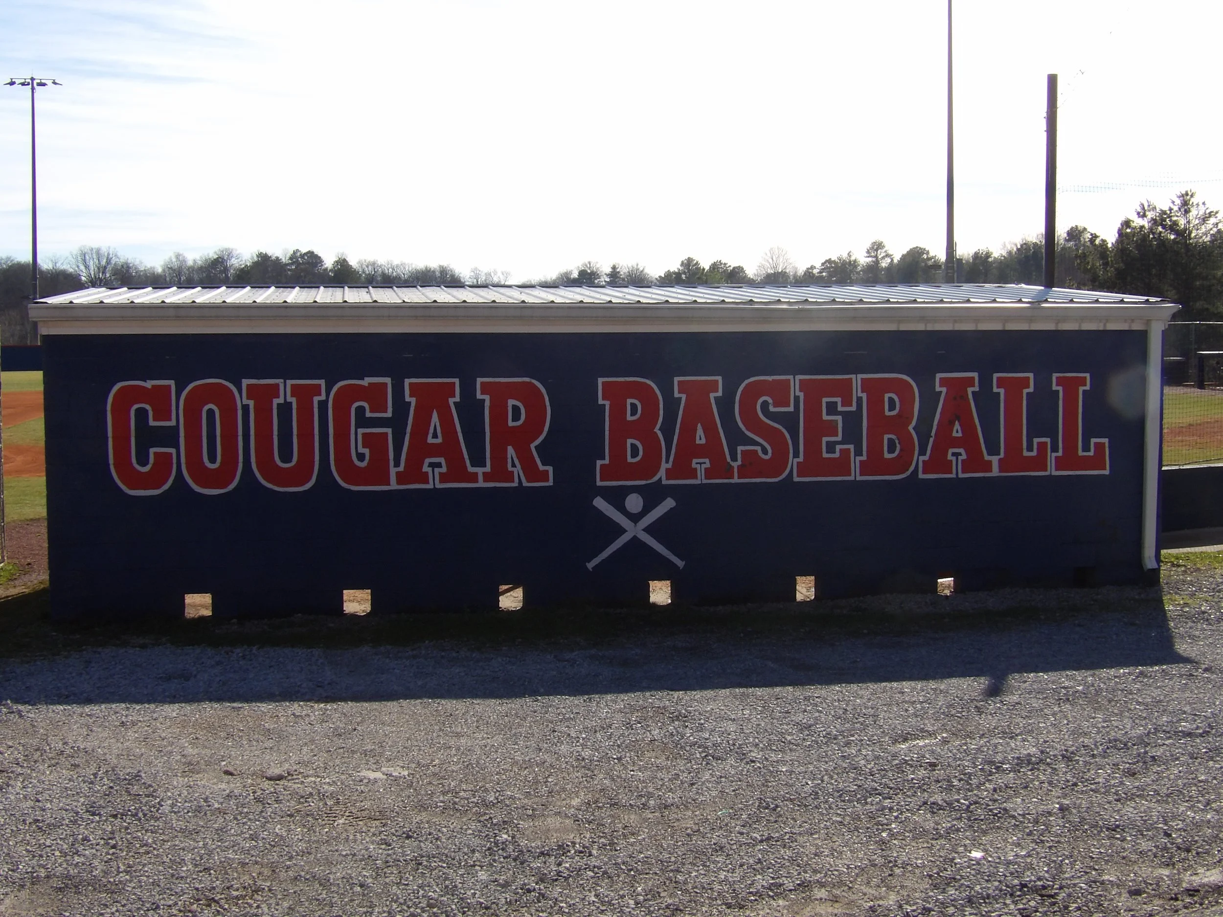 Dickson County Cougars Baseball Opens 2026 With A Preseason Test Against CPA