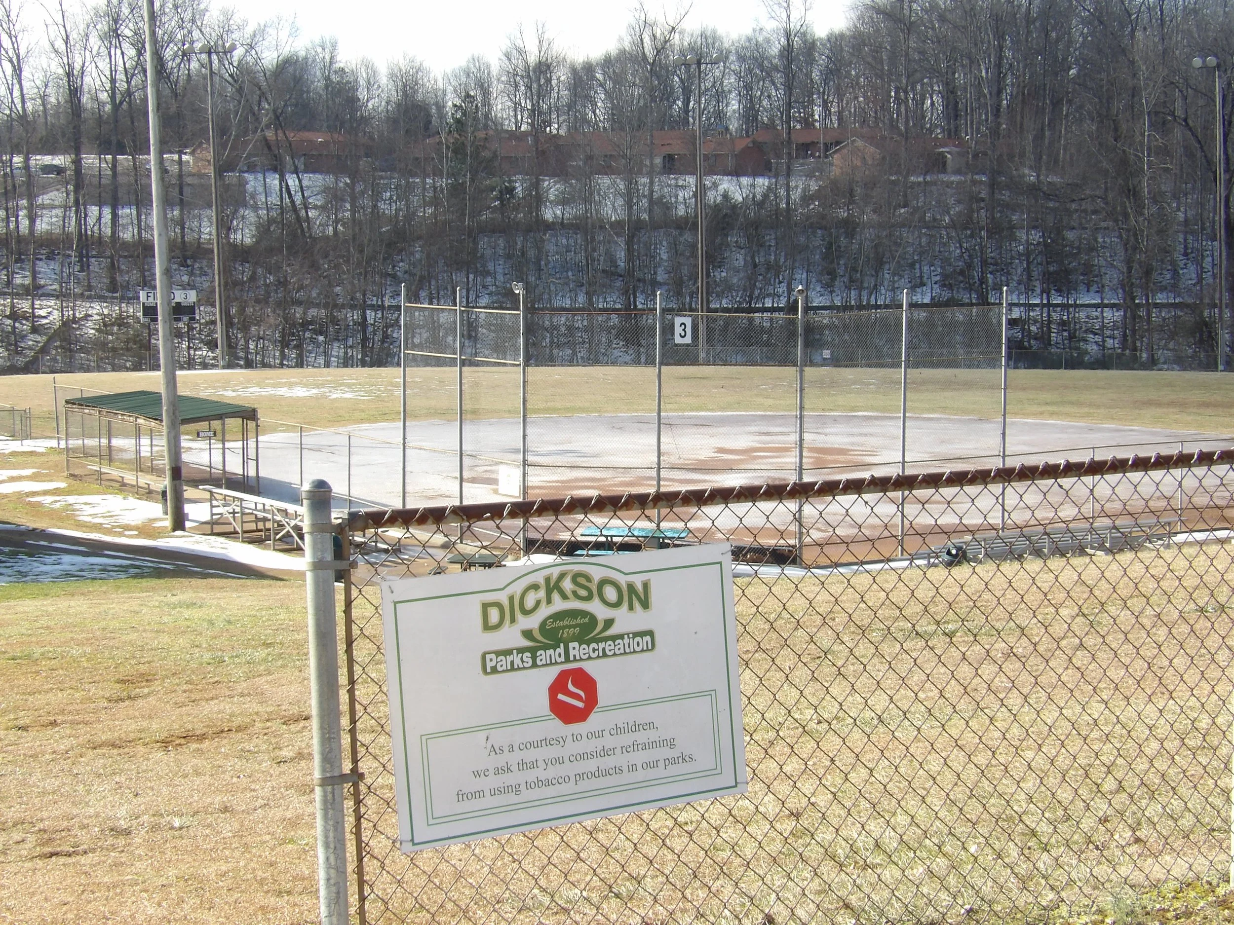 Buckner Park Expansion Could Add More Youth Baseball Fields