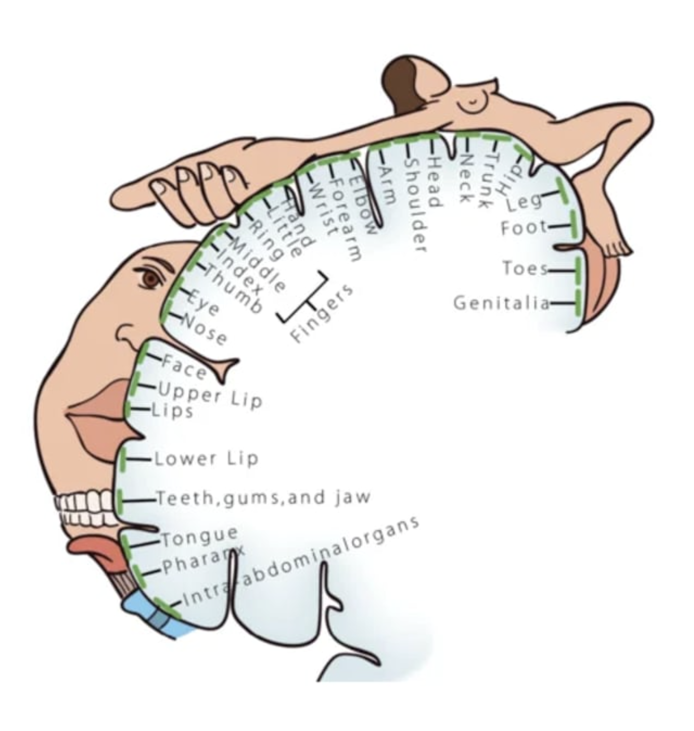 What do a foot fetish and pain have in common?